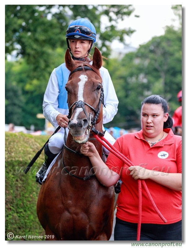 Bratislava - 14. jl 2019 