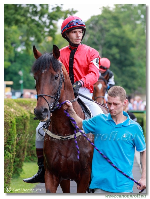 Bratislava - 14. jl 2019 