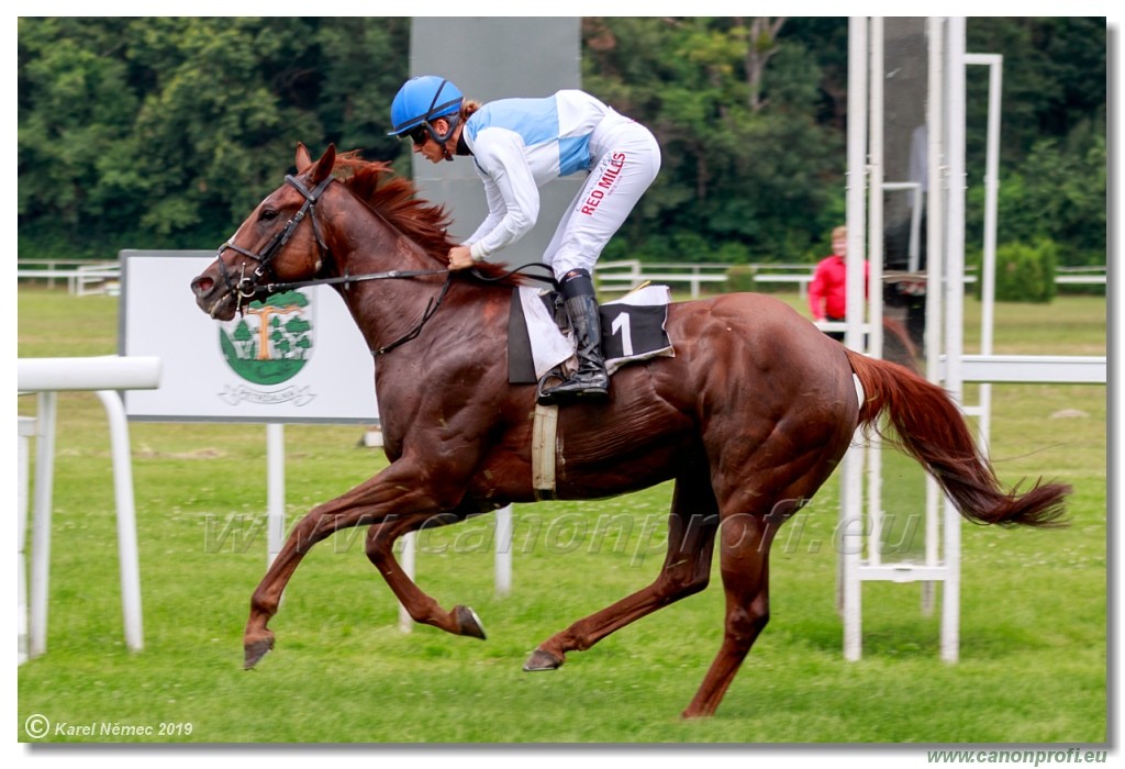 Bratislava - 14. jl 2019 