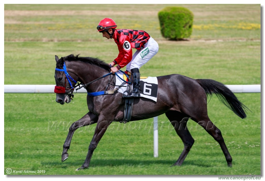 Bratislava - 14. jl 2019 