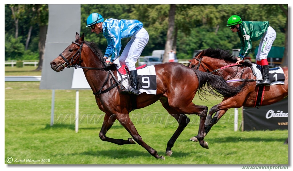 Bratislava - 14. jl 2019 