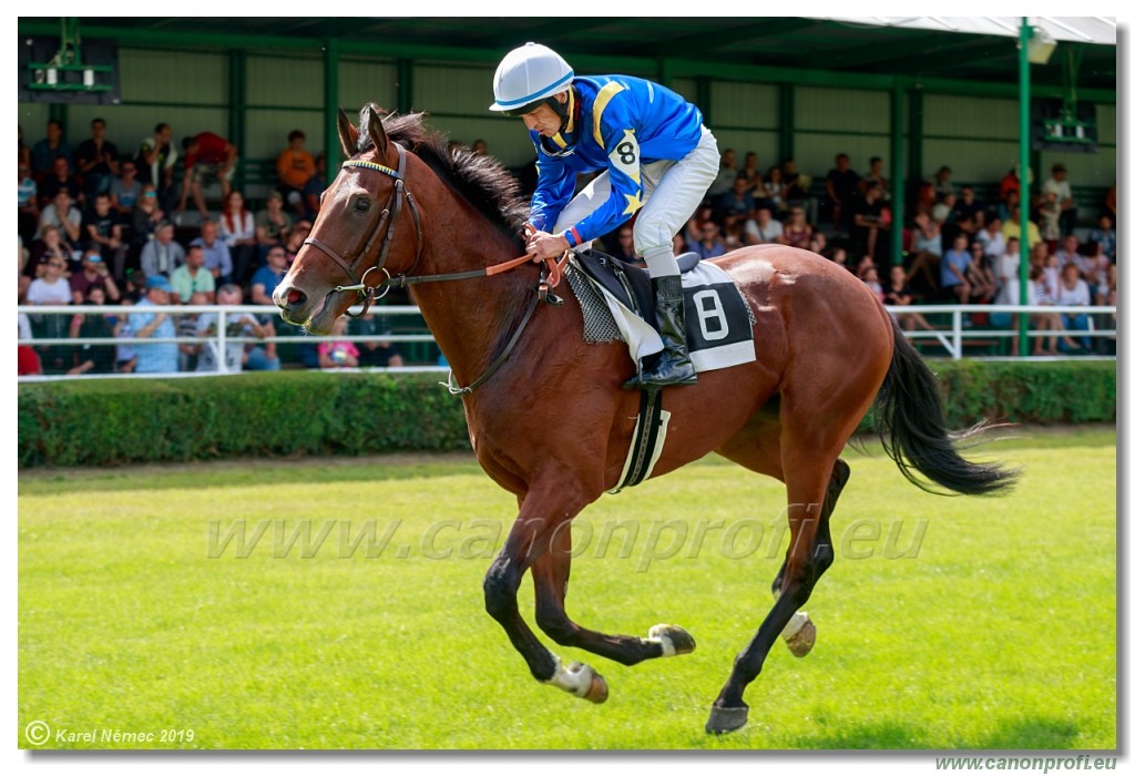 Bratislava - 14. jl 2019 