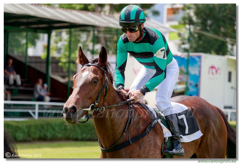 Bratislava - 14. jl 2019 