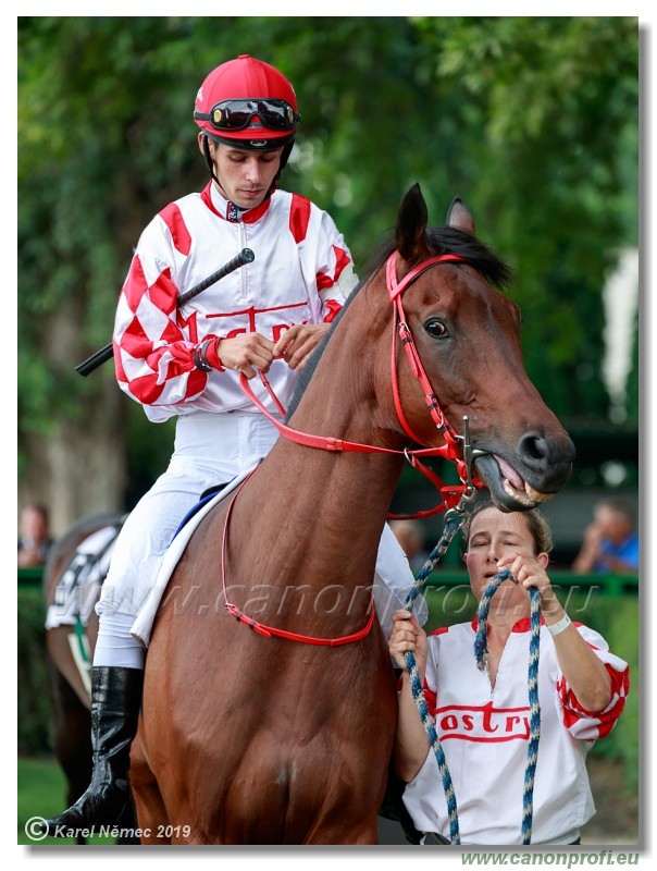 Bratislava - 14. jl 2019 