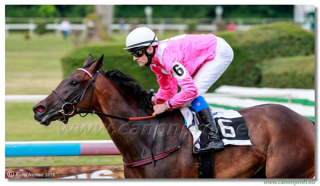 Bratislava - 14. jl 2019 