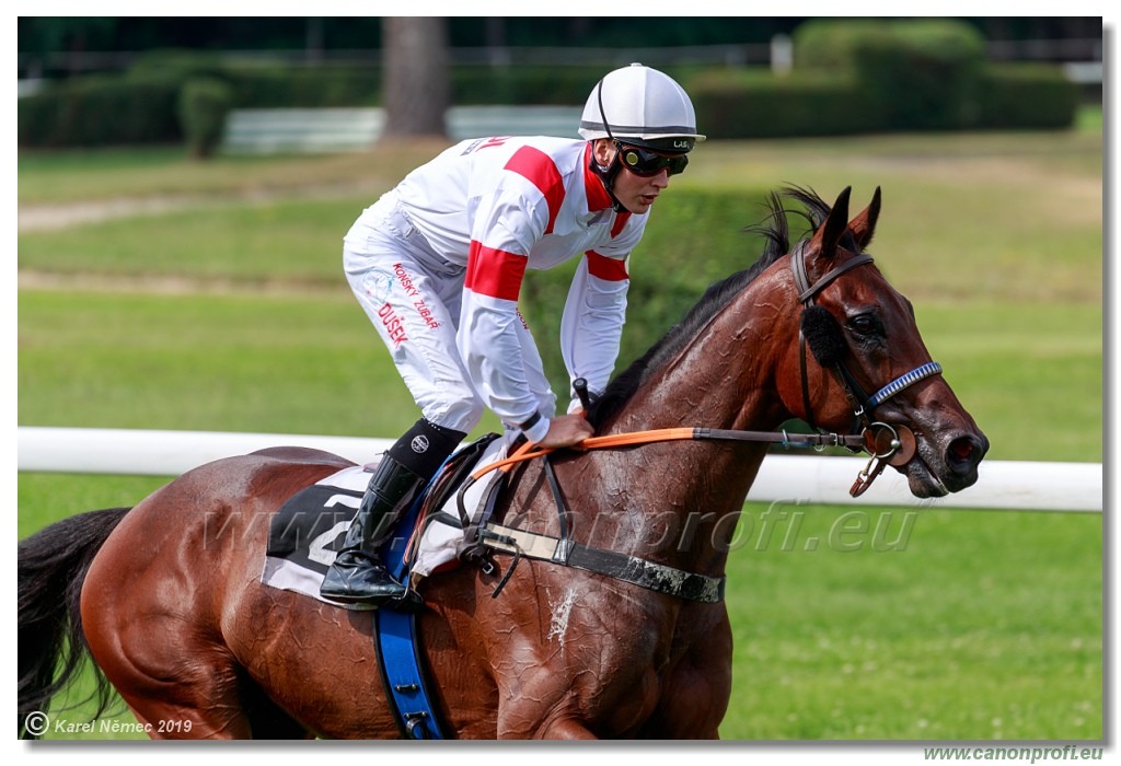 Bratislava - 14. jl 2019 