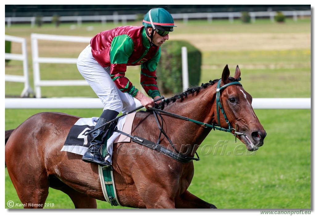 Bratislava - 14. jl 2019 