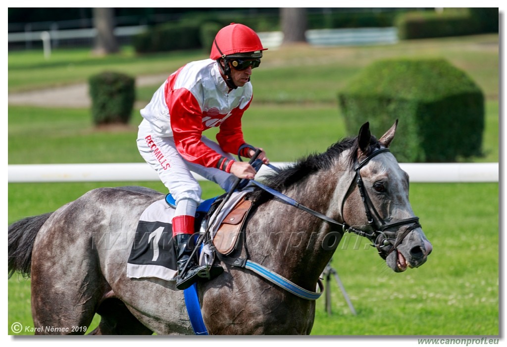 Bratislava - 14. jl 2019 