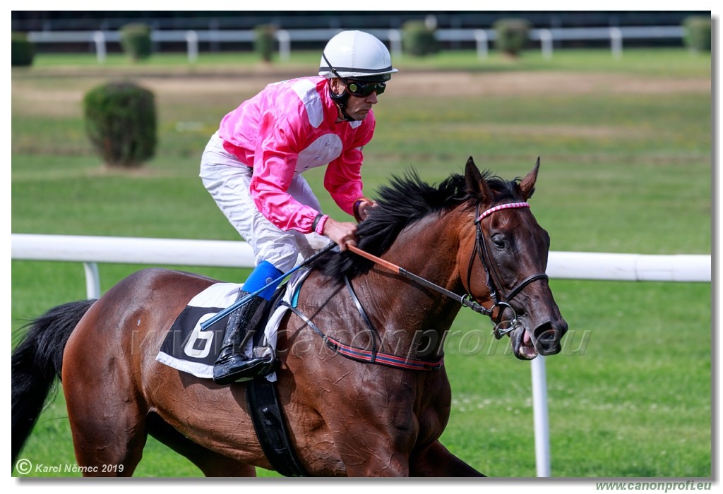 Bratislava - 14. jl 2019 