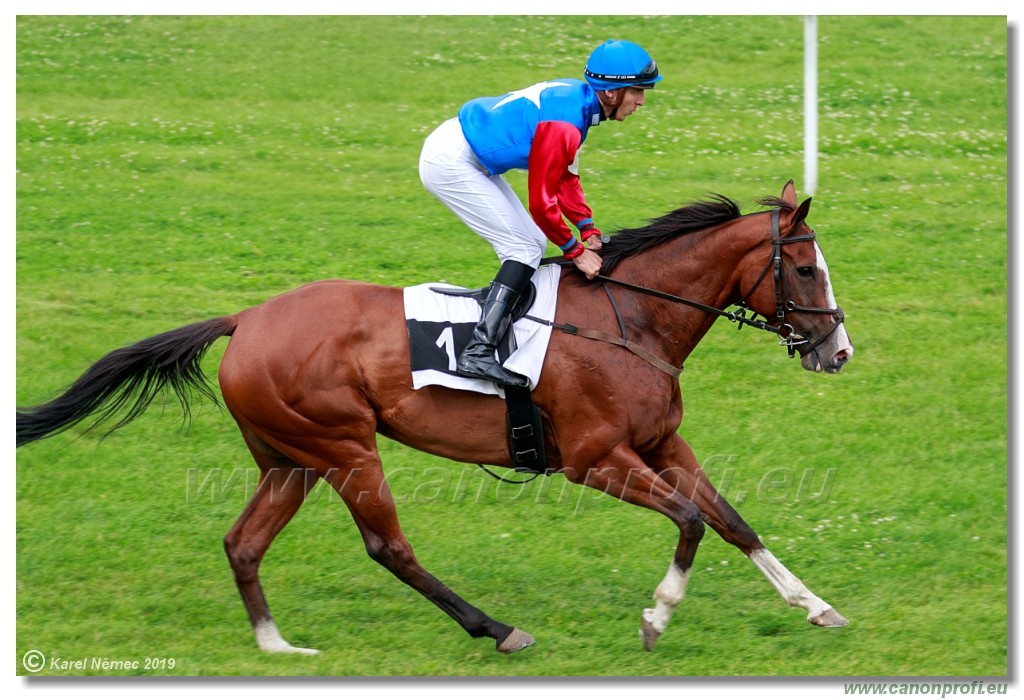 Bratislava - 14. jl 2019 