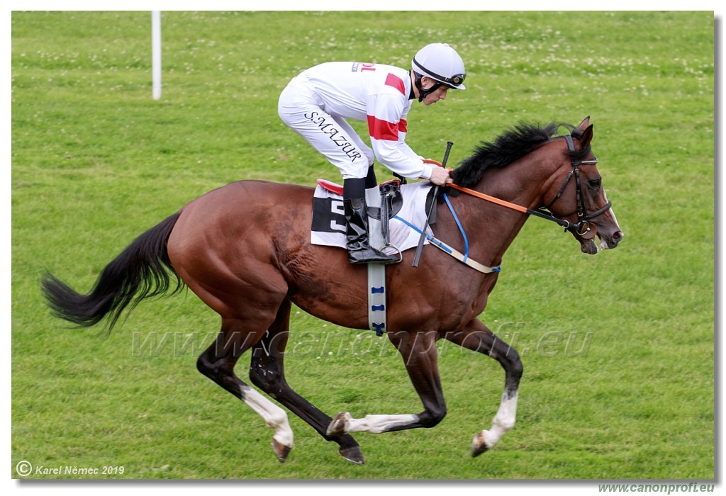 Bratislava - 14. jl 2019 