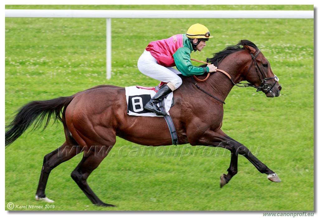 Bratislava - 14. jl 2019 