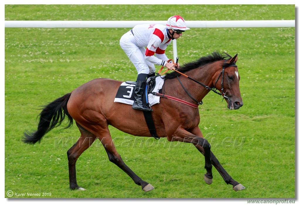 Bratislava - 14. jl 2019 