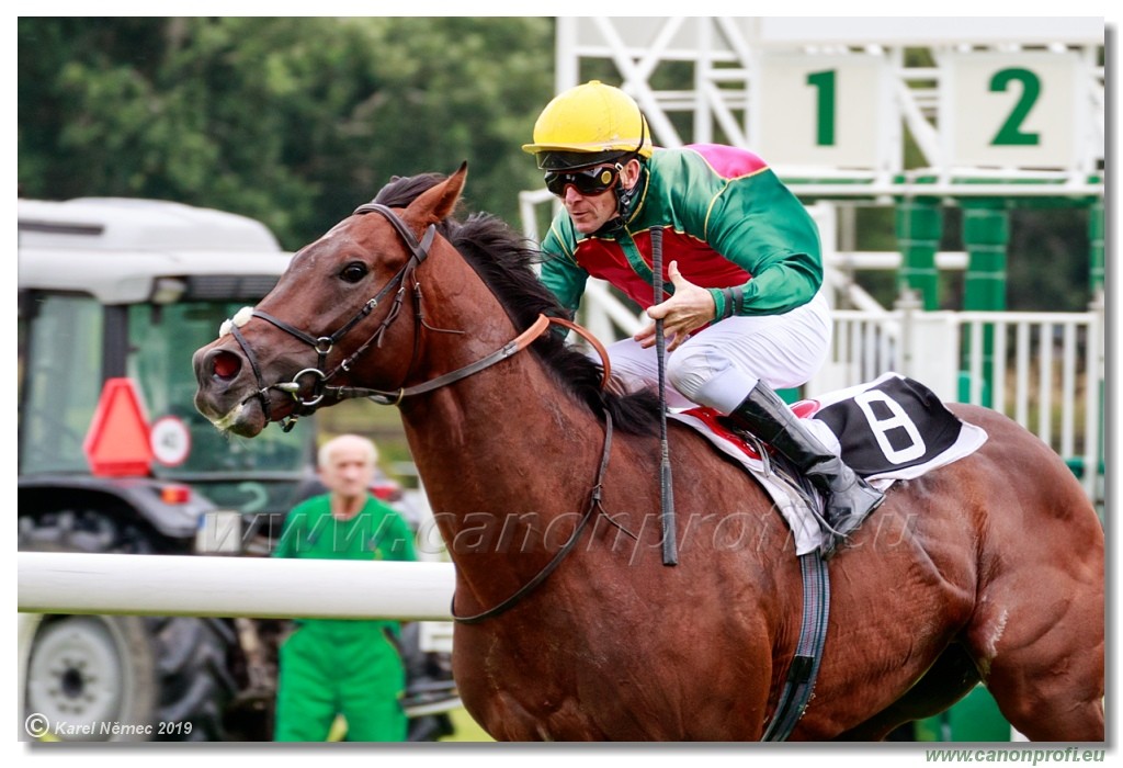 Bratislava - 14. jl 2019 