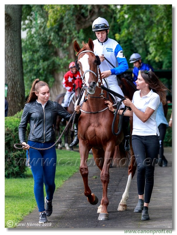 Bratislava - 14. jl 2019 