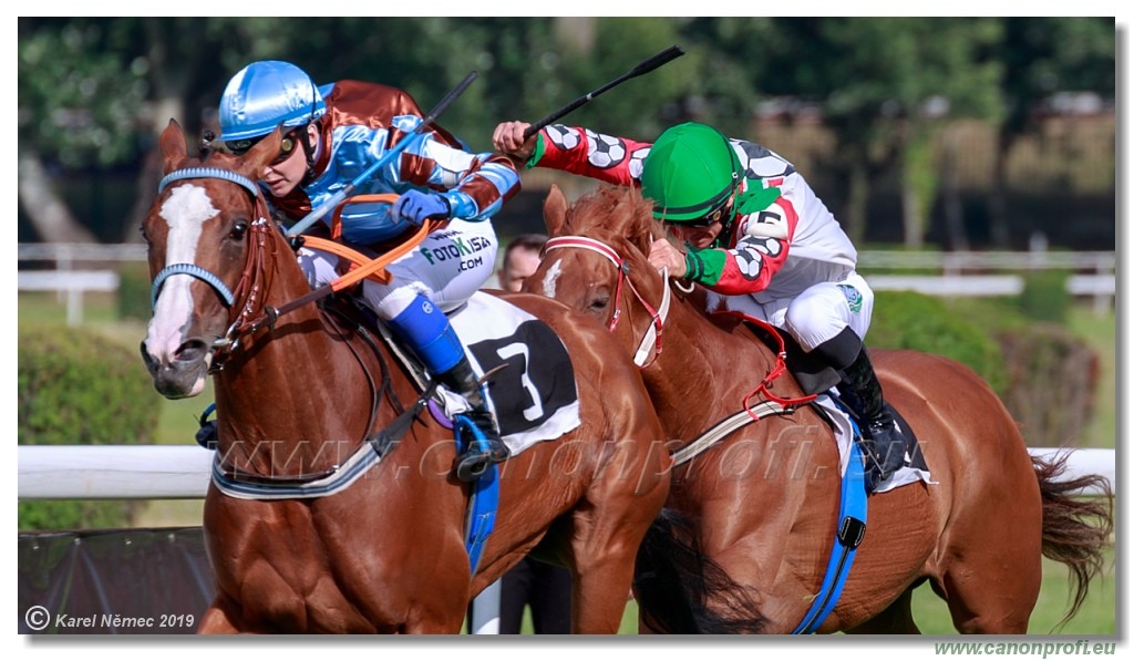 Bratislava - 14. jl 2019 