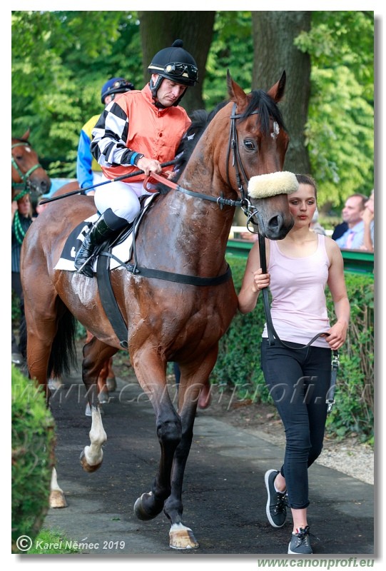 Bratislava - 14. jl 2019 
