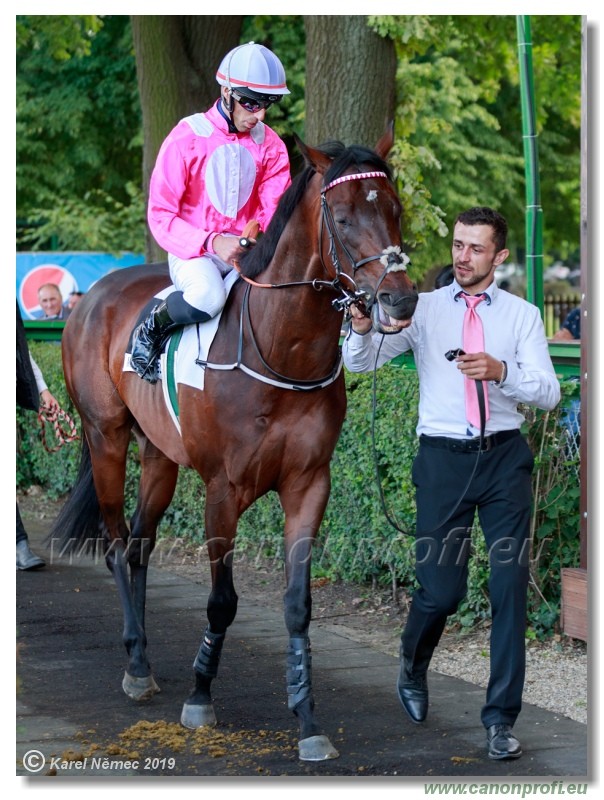 Bratislava - 14. jl 2019 