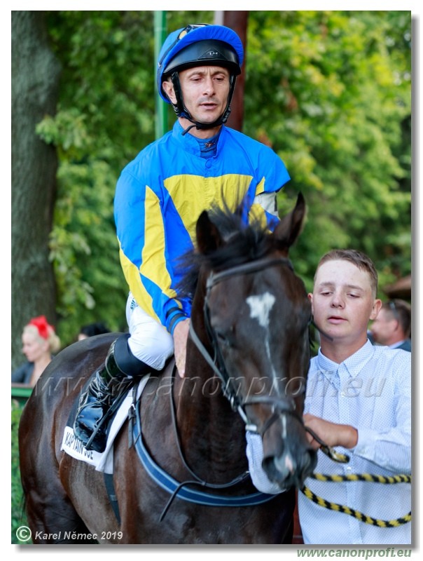 Bratislava - 14. jl 2019 