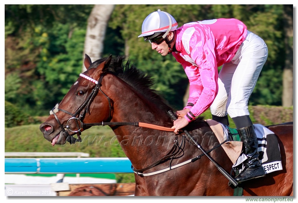 Bratislava - 14. jl 2019 