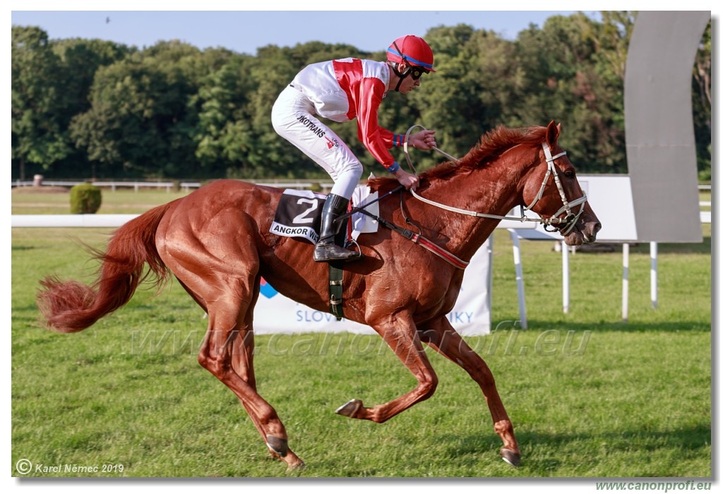 Bratislava - 14. jl 2019 