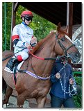dostih . 8 -27. Slovensk derby 