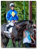 dostih . 8 -27. Slovensk derby 