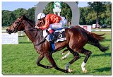dostih . 8 -27. Slovensk derby 