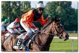 dostih . 8 -27. Slovensk derby 