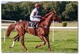 dostih . 8 -27. Slovensk derby 