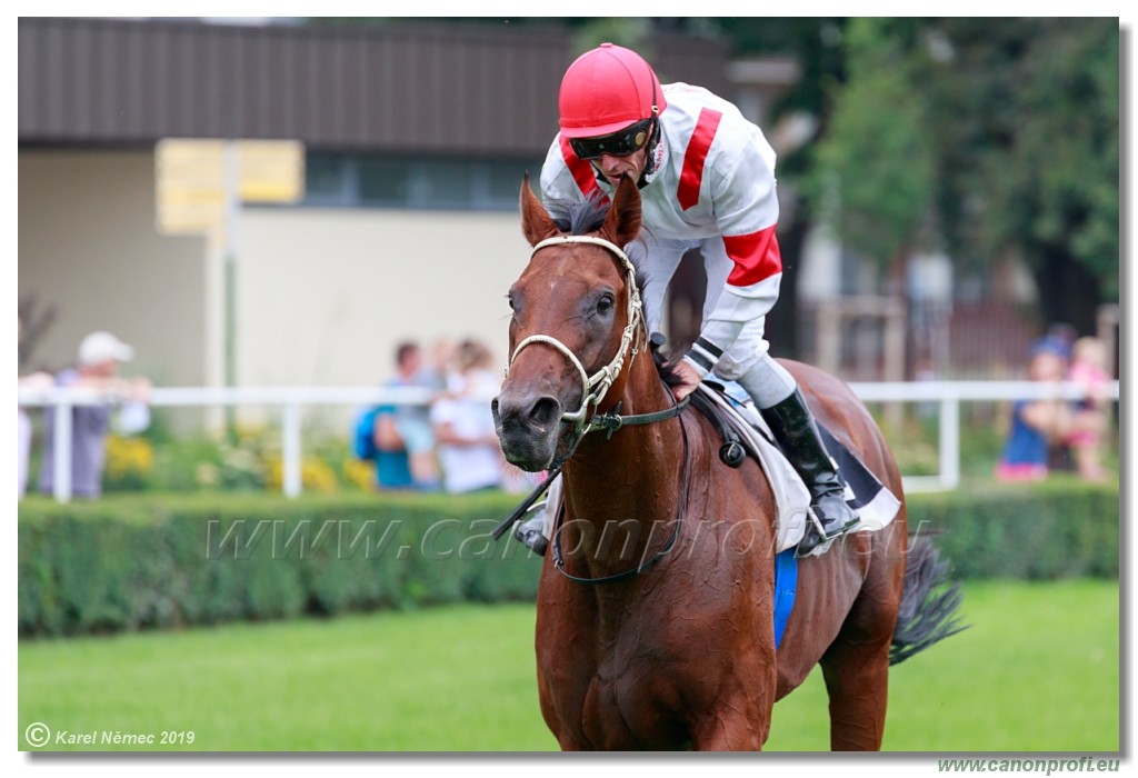 Bratislava - 01. september 2019 