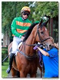 dostih . 7 - Vek cena Rdia SiTy (27. Slovensk Oaks) 