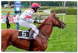 dostih . 7 - Vek cena Rdia SiTy (27. Slovensk Oaks) 