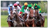 dostih . 7 - Vek cena Rdia SiTy (27. Slovensk Oaks) 