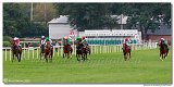 dostih . 7 - Vek cena Rdia SiTy (27. Slovensk Oaks) 