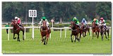 dostih . 7 - Vek cena Rdia SiTy (27. Slovensk Oaks) 