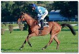 dostih . 8 - Vek starohjska steeplechase 