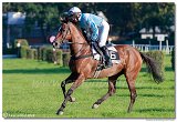dostih . 8 - Vek starohjska steeplechase 