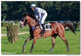 dostih . 8 - Vek starohjska steeplechase 