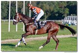 dostih . 8 - Vek starohjska steeplechase 