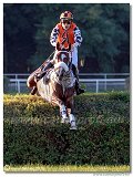 dostih . 8 - Vek starohjska steeplechase 