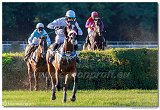 dostih . 8 - Vek starohjska steeplechase 