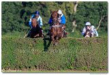 dostih . 8 - Vek starohjska steeplechase 