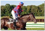 dostih . 8 - Vek starohjska steeplechase 