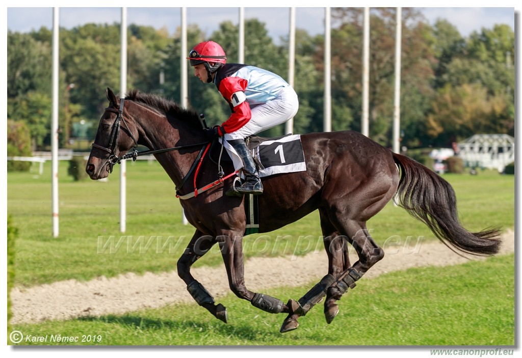 Bratislava - 29. september 2019 