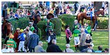 dostih . 5 - 25. Cena Whisky spolonosti ARQANA 