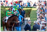 dostih . 5 - 25. Cena Whisky spolonosti ARQANA 