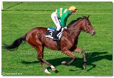 dostih . 5 - 25. Cena Whisky spolonosti ARQANA 