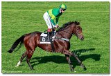 dostih . 5 - 25. Cena Whisky spolonosti ARQANA 