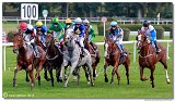 dostih . 5 - 25. Cena Whisky spolonosti ARQANA 